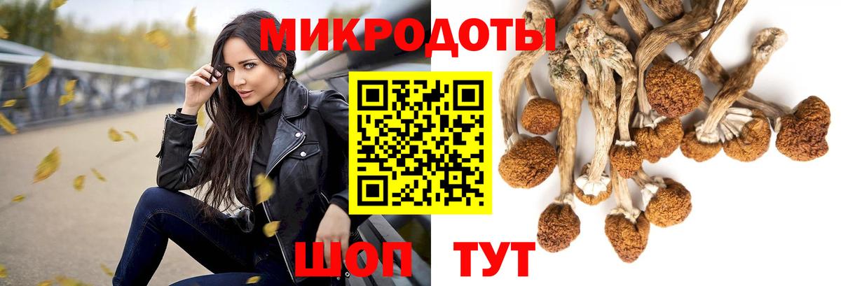Псилоцибиновые грибы Psilocybe  Вход с VPN  купить наркотик  Ангарск 